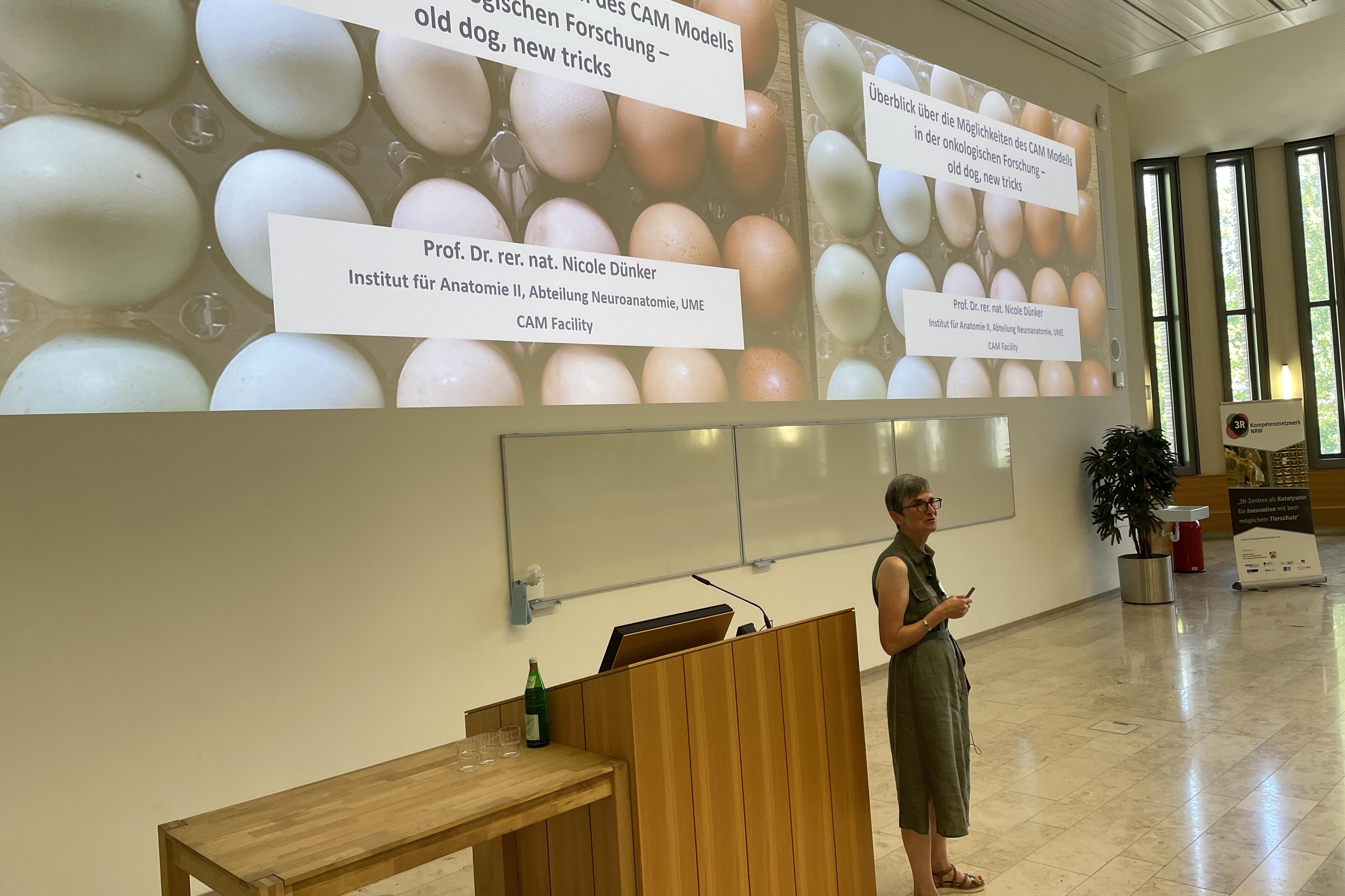 Prof. Nicole Dünker sprach trägt eine wissenschaftliche Präsentation vor.